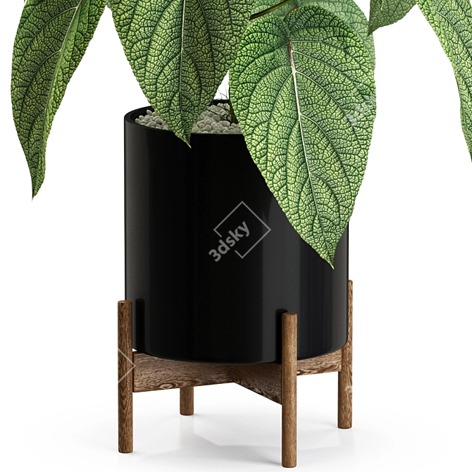 Lush Greenery Assortment 535 3D model image 2