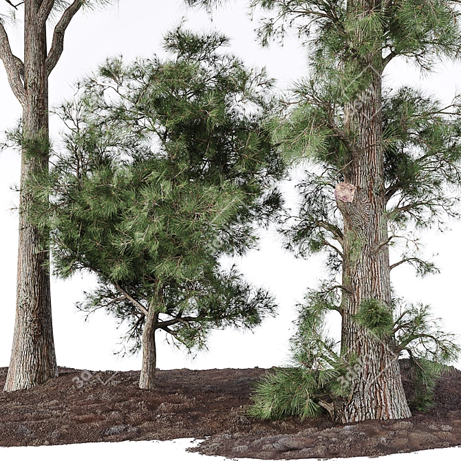 Lush Pine Tree: High-Quality 3D Model 3D model image 2