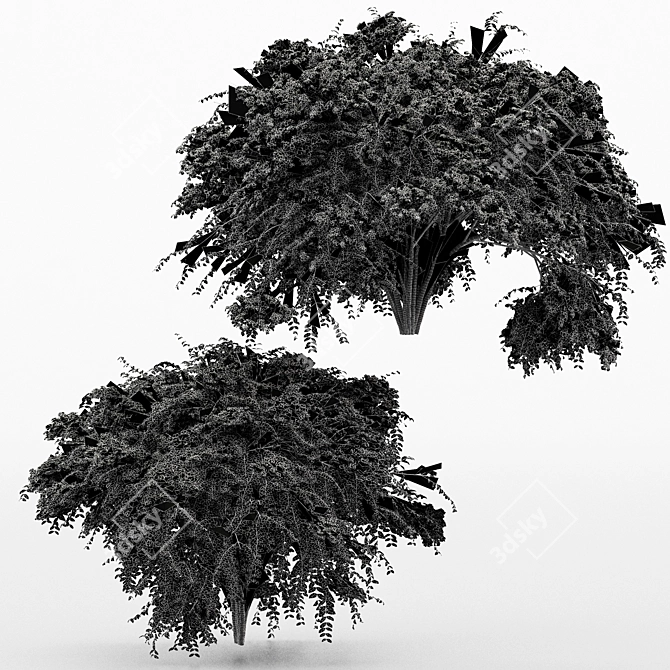 Japanese Angelica: Exquisite Bush Collection 3D model image 3