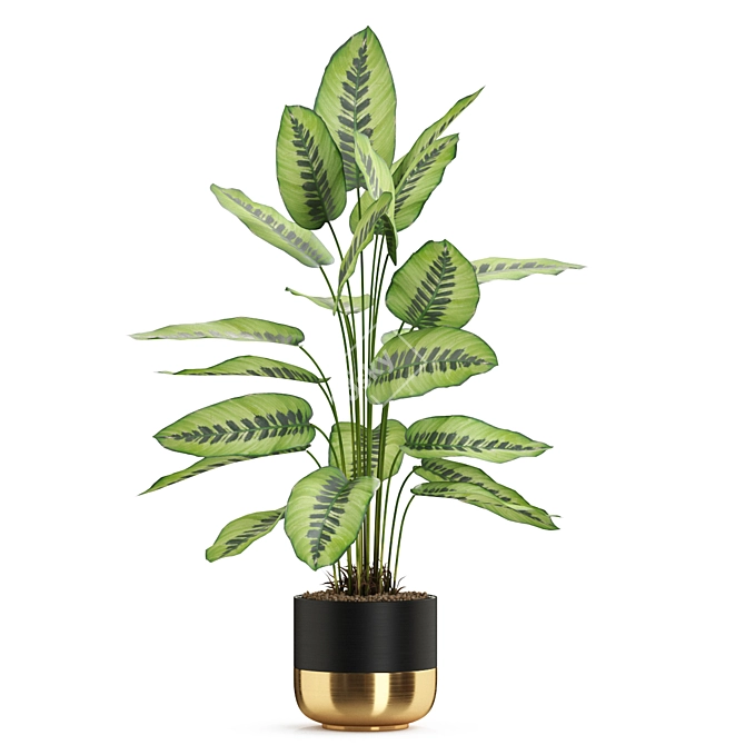 Exquisite Plants Collection 537 3D model image 2