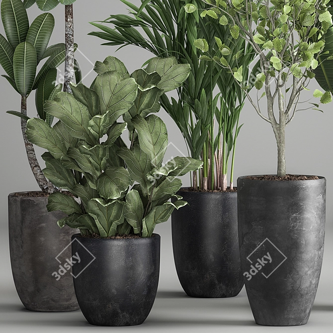 Exotic Plant Collection: Decorative Plants for Indoor and Outdoor with Concrete Vase 3D model image 2