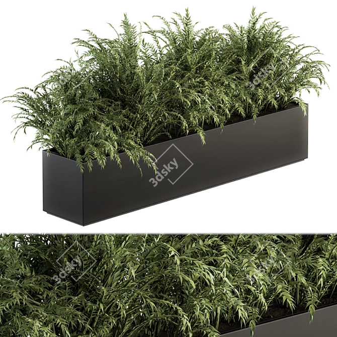 Polypodiales Plant Box Set: Outdoor Beauty 3D model image 1