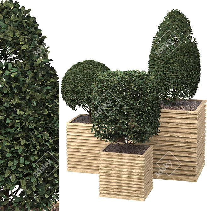 Outdoor Plant with FBX and OBJ 3D model image 1