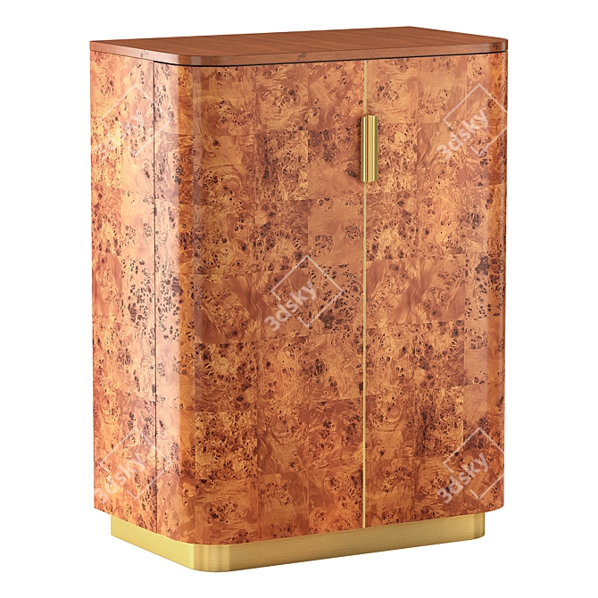 Sleek Burl Wood Entryway Cabinet 3D model image 1