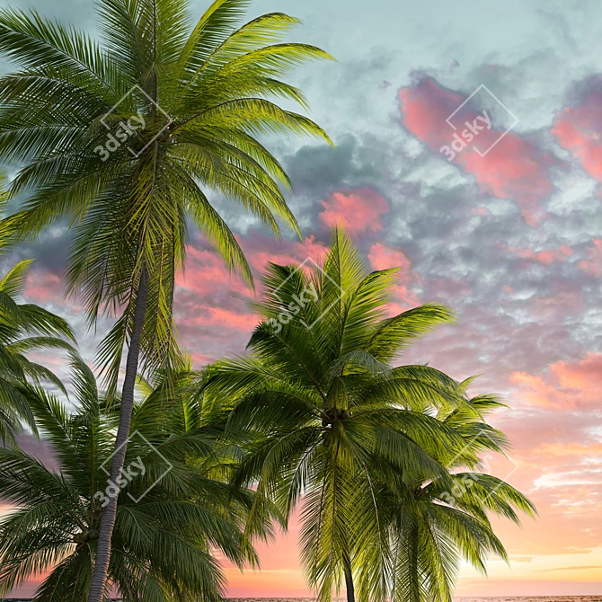 Tropical Majesty: Coconut Palm Trio 3D model image 2