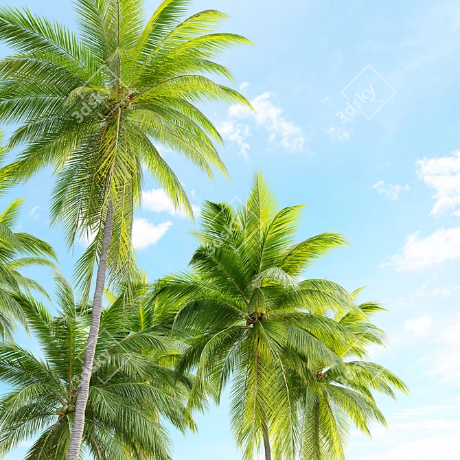 Tropical Majesty: Coconut Palm Trio 3D model image 5