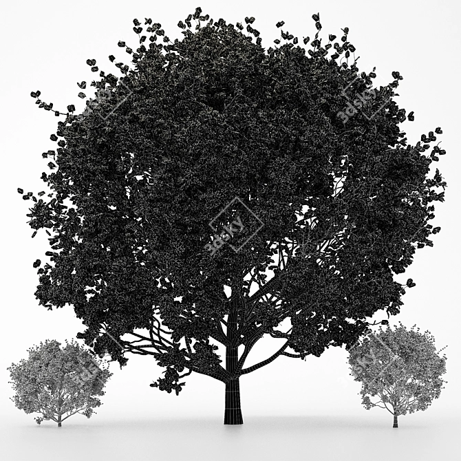 Seasonal Tree Collection: 3 Variations 3D model image 3