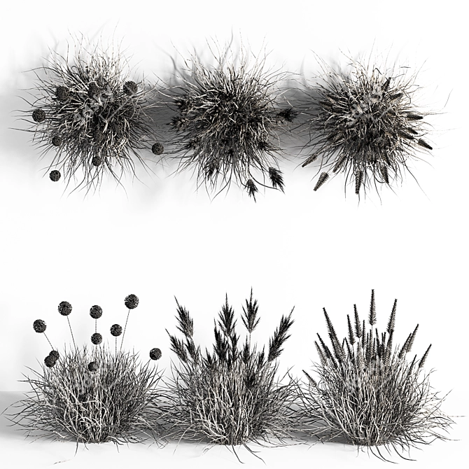 Pampas Bush 3D Model 3D model image 5