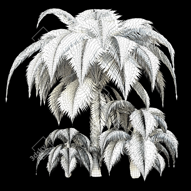 Tropical Palm Tree Decor 3D model image 2