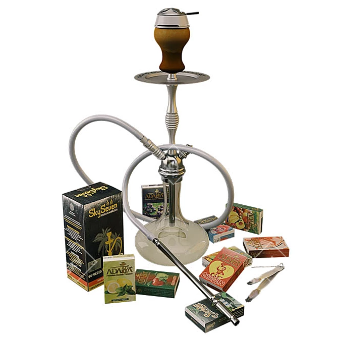 Affordable Hookah Kit 3D model image 1