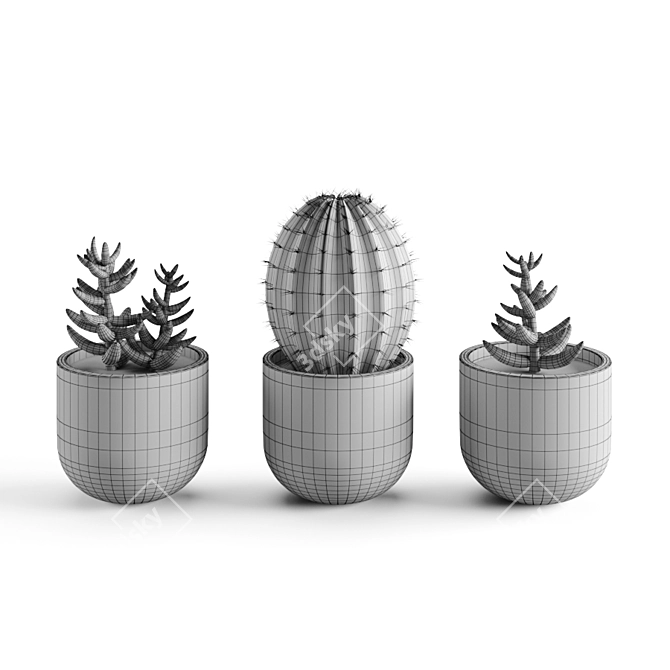 Title: Succulent Oasis Collection 3D model image 2