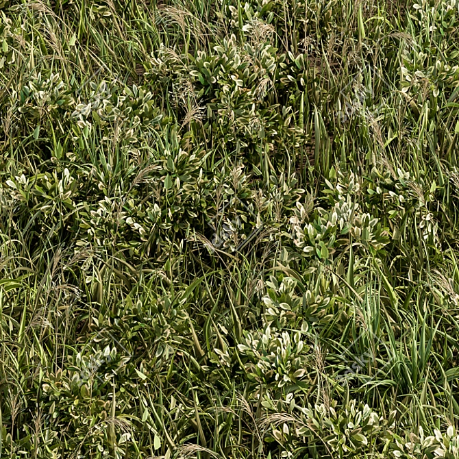 Lush Green Grass Mat 3D model image 4