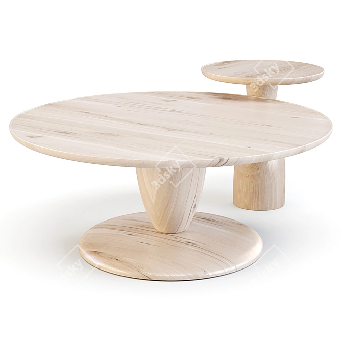 Coastal-Inspired Winona Coffee & Side Table Set 3D model image 1
