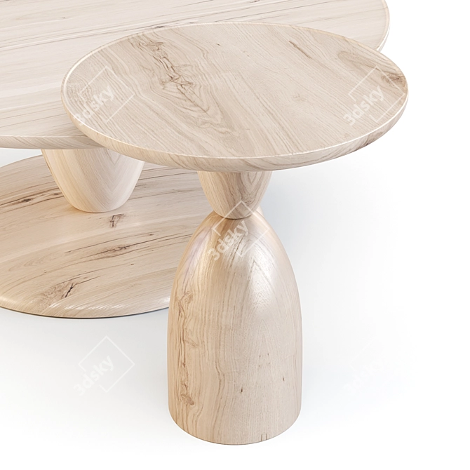 Coastal-Inspired Winona Coffee & Side Table Set 3D model image 2
