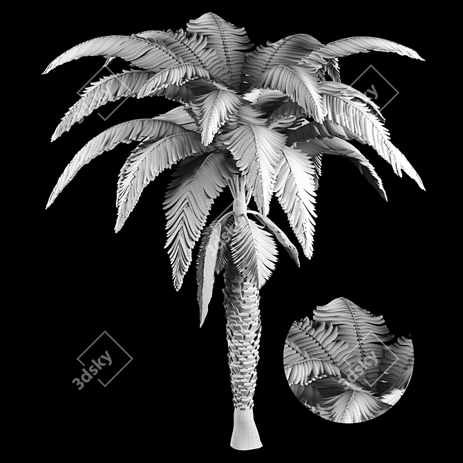 Exquisite Palm Tree Model 3D model image 4