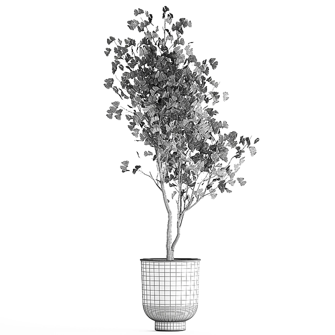 Ginkgo Biloba Tree: Exotic Plant Collection 3D model image 6