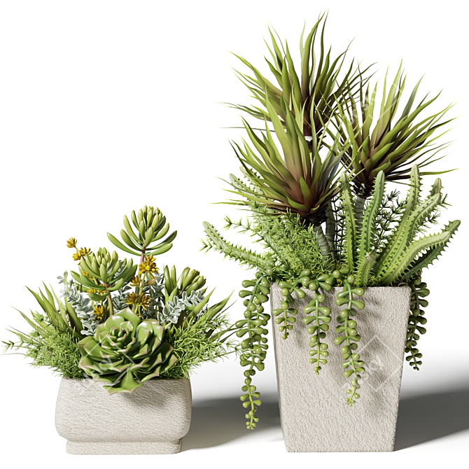 square succulent bouquets in pots 3D model image 1