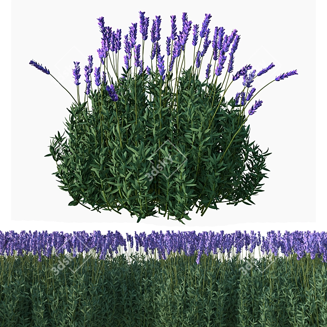 Elegant Lavender Floral Sculpture 3D model image 1