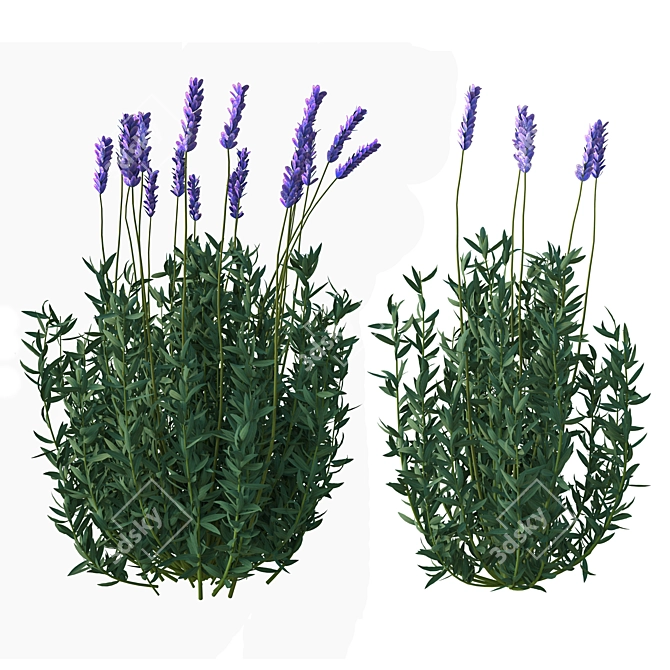 Elegant Lavender Floral Sculpture 3D model image 4