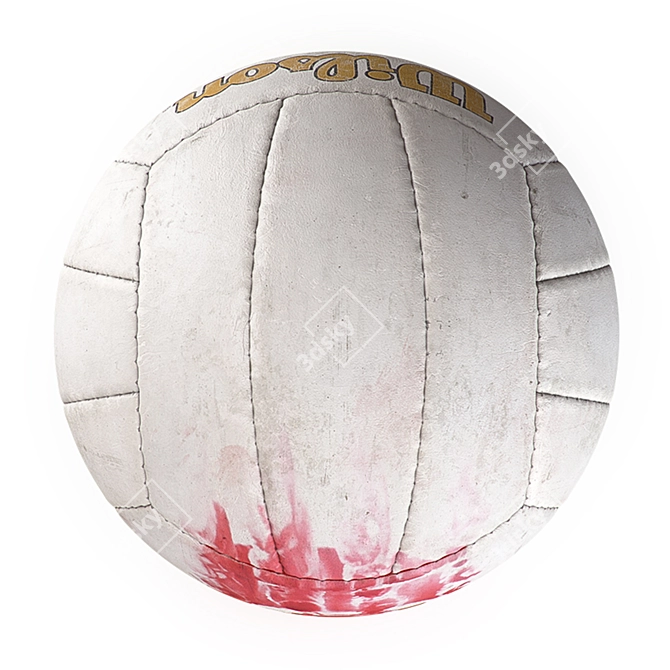 Wilson Cast Away Ball 3D model image 5