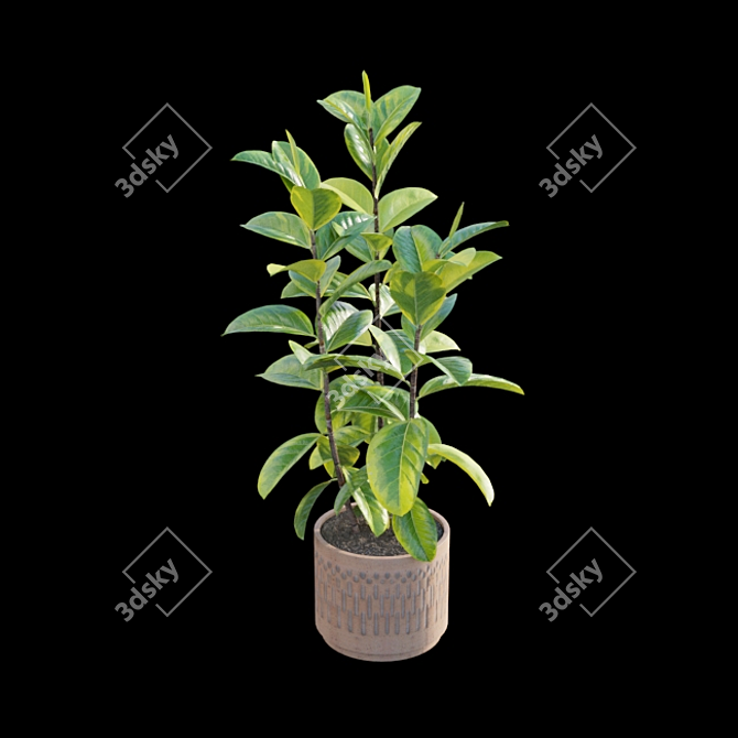 Ficus benghalensis 3D Model Set 3D model image 3