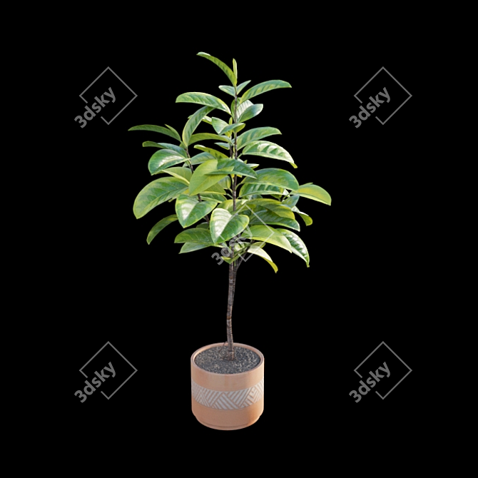 Ficus benghalensis 3D Model Set 3D model image 5