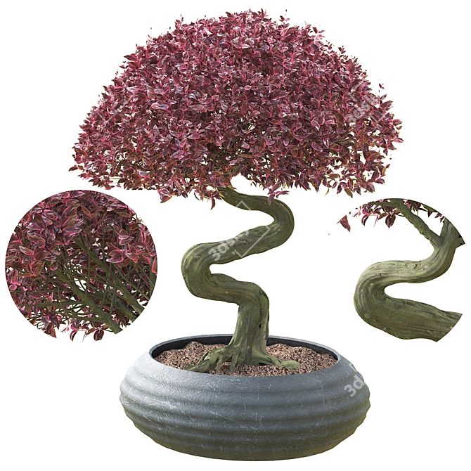 Bonsai 02: Millimeter Dimensions, High Poly, FBX & OBJ Formats 3D model image 1