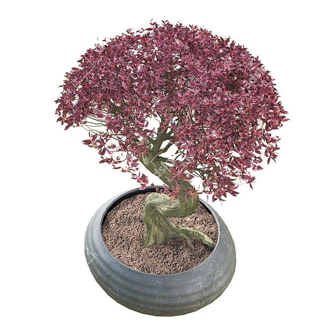 Bonsai 02: Millimeter Dimensions, High Poly, FBX & OBJ Formats 3D model image 3