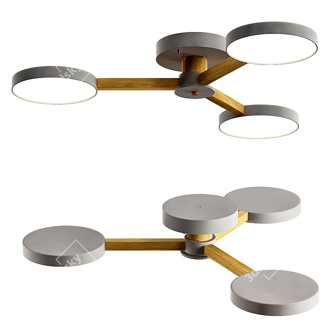 TURNA 2013: Versatile 3D Model 3D model image 1