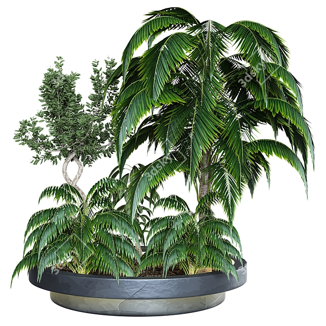 2015 Outdoor Plant Vol 04: High-Quality 3D Model 3D model image 1