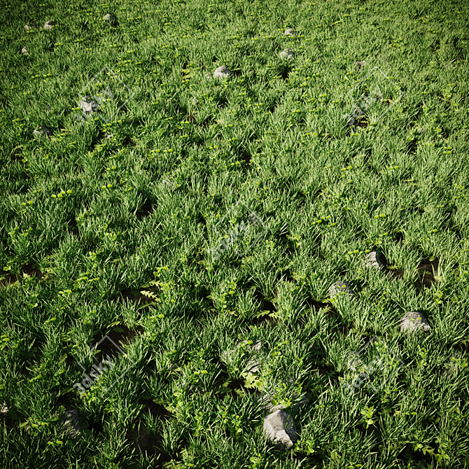 Lush Green Grass and Stones 3D model image 2