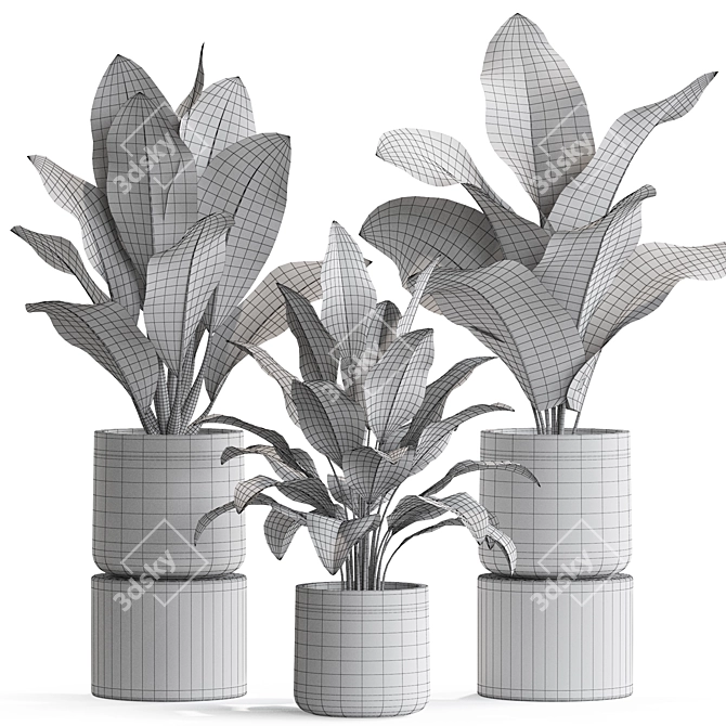 Exquisite Plant Assortment 556 3D model image 4