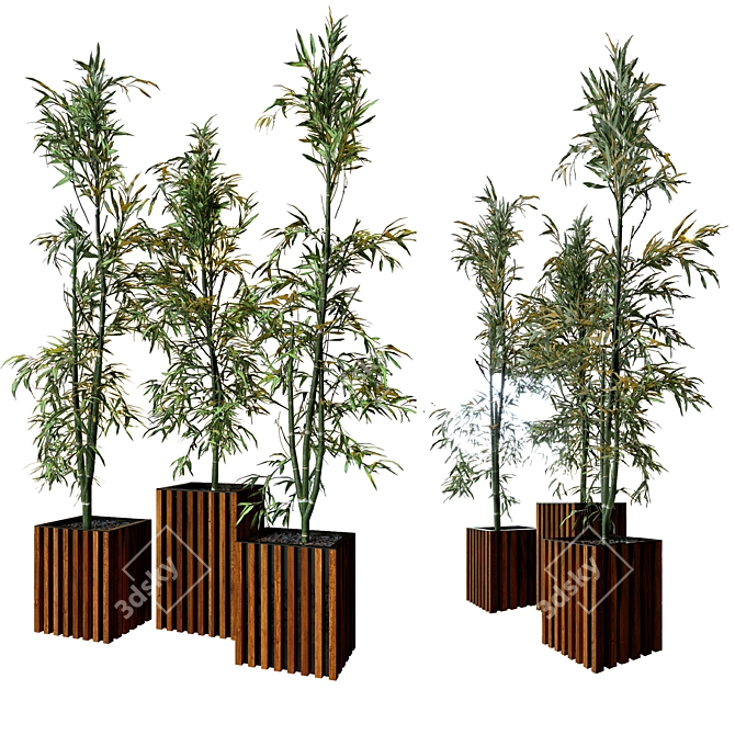 Natural Bamboo Set: 3 Unique Designs 3D model image 1