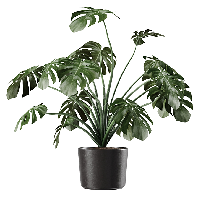 Tropical Monstera Vase Plant 3D model image 1