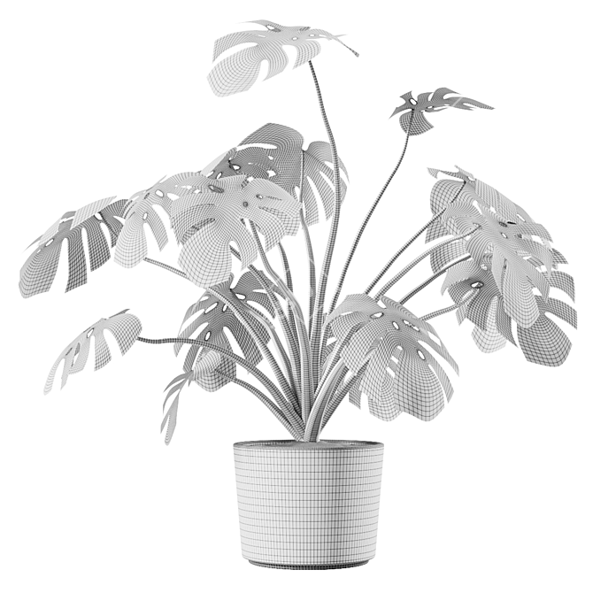 Tropical Monstera Vase Plant 3D model image 4