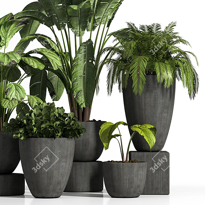 Elegant Indoor Plant Set 3D model image 3