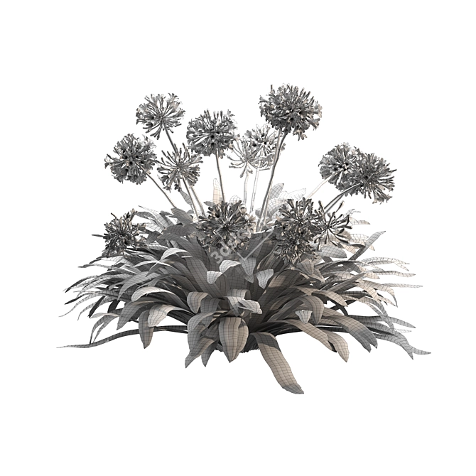 Agapanthus 2013: 3D Floral Model 3D model image 1