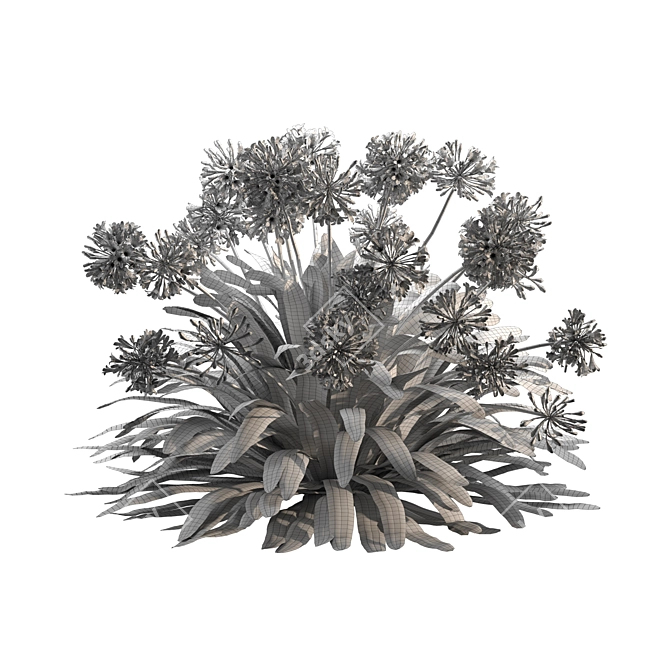 Agapanthus 2013: 3D Floral Model 3D model image 6