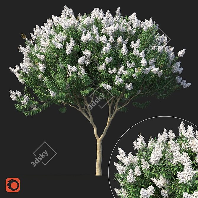 Title: Lagerstromia White Flowers - Realistic 3D Model 3D model image 6