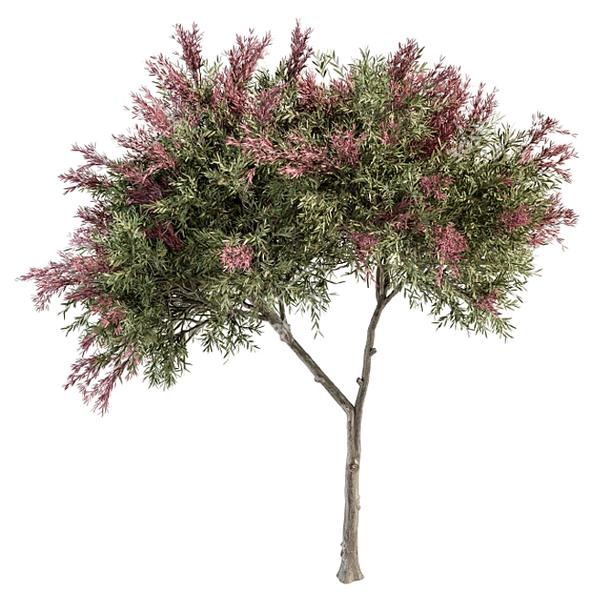 Crape Myrtle Tree Set: 50 Blooming Beauties! 3D model image 6