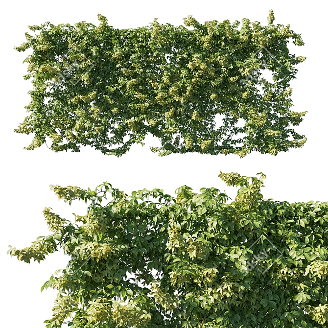 Virginia Creeper Sculpture: 2013 Edition 3D model image 1