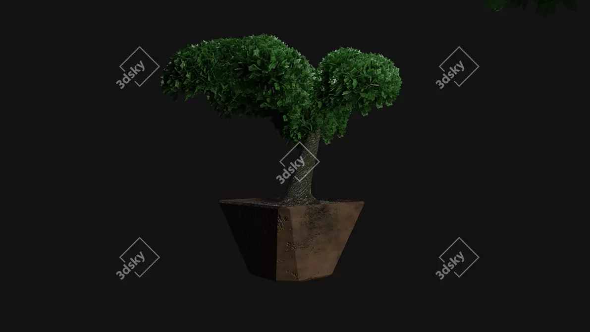 Miniature Bonsai Tree in Pot 3D model image 1