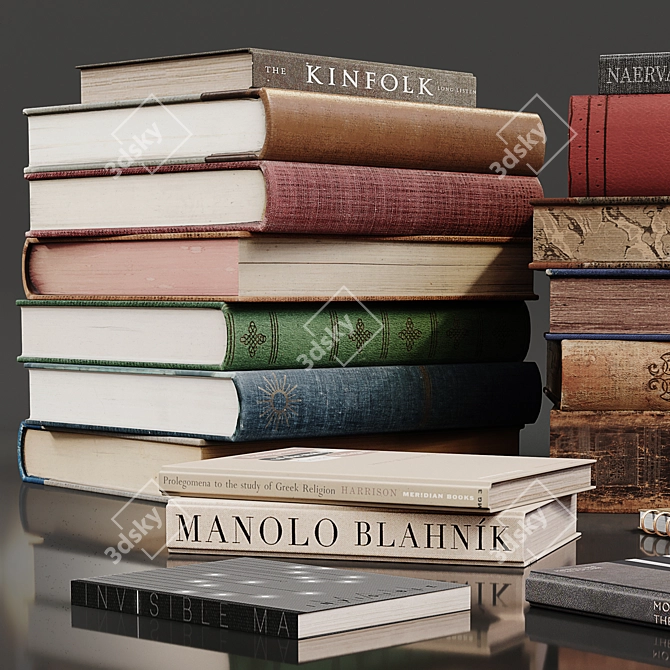 Vintage Literature Bundle | Classic Old Books 3D model image 2