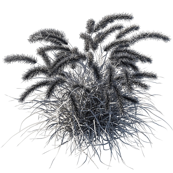 Vibrant Purple Fountain Grass 3D model image 3