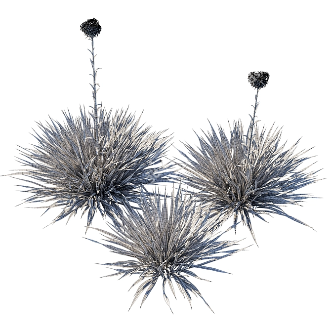 Gymea Lily Miniature Model 2013 3D model image 3