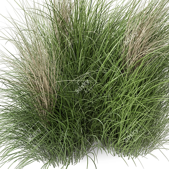 Natural Outdoor Bush Set 3D model image 6