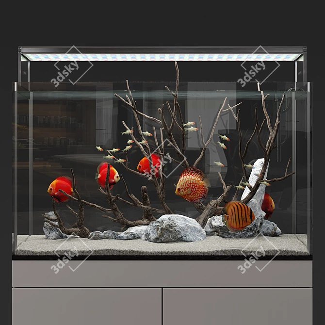 Natural Biotope Aquarium with Discus Fish 3D model image 4