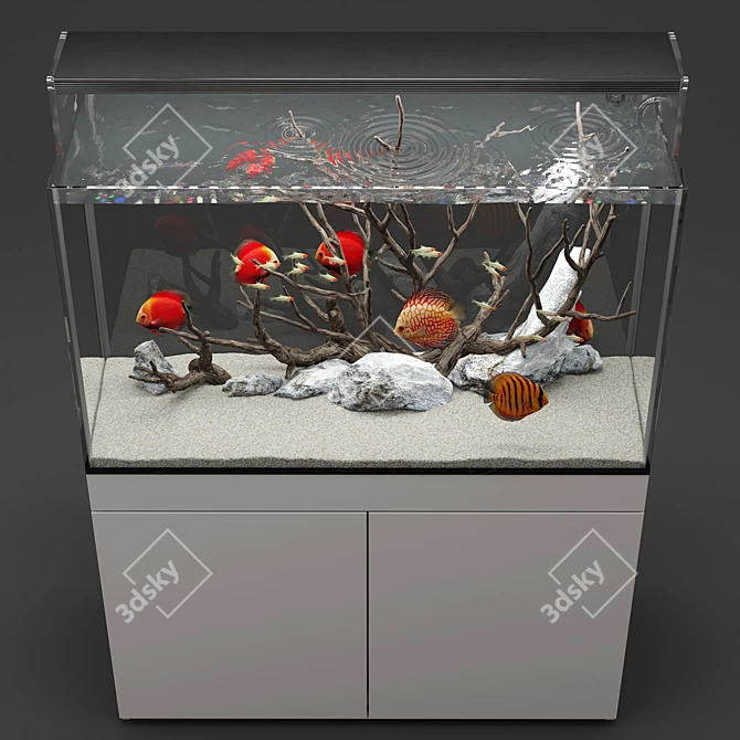 Natural Biotope Aquarium with Discus Fish 3D model image 5