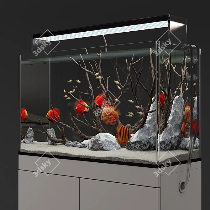 Natural Biotope Aquarium with Discus Fish 3D model image 6