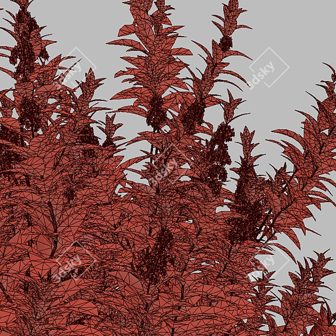 Thriving Trio: Common Nettle Plants 3D model image 7